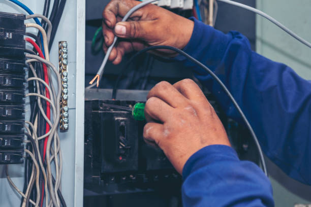 Best Electric Panel Repair  in Lake Ssota, WI